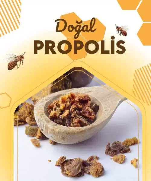 Çam Balı Organik Çam Balı